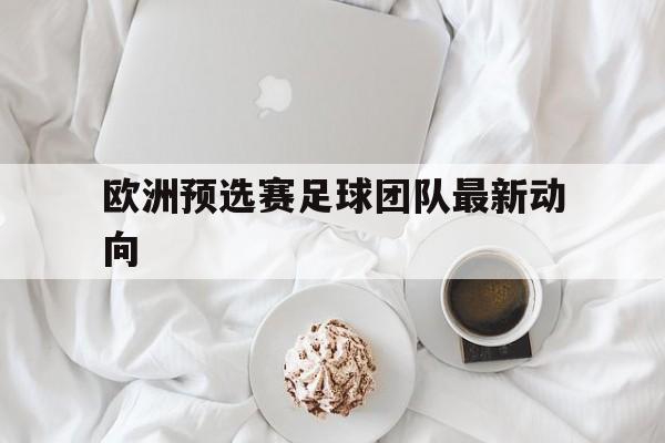 欧洲预选赛足球团队最新动向